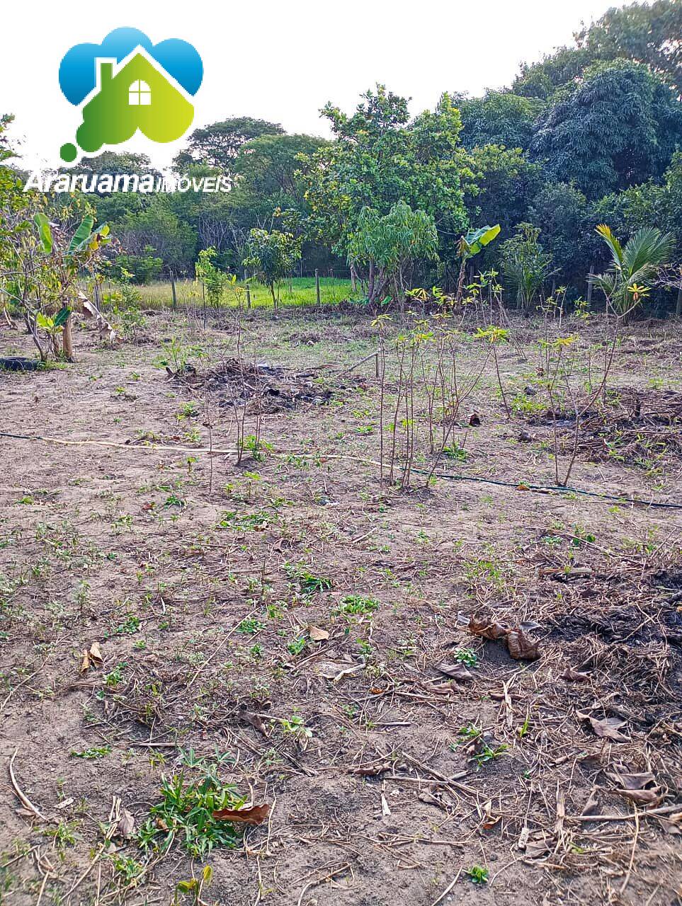 Terreno à venda - Foto 2